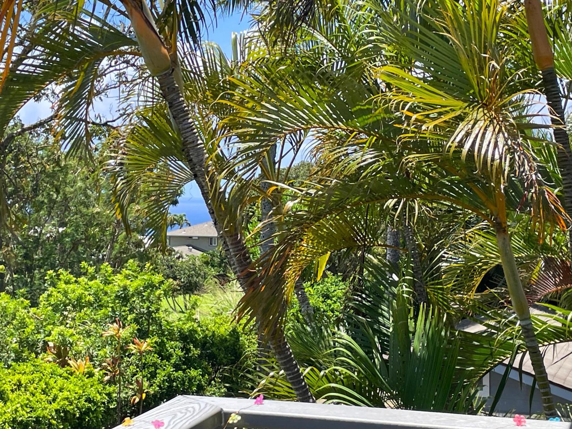 Puu Koa Palms Vacation Rental Haiku Ngoại thất bức ảnh